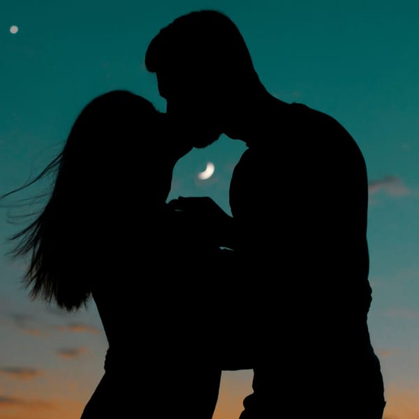 The couple silhouetted against a dusk sky, a crescent moon between them